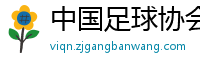 中国足球协会官方网站